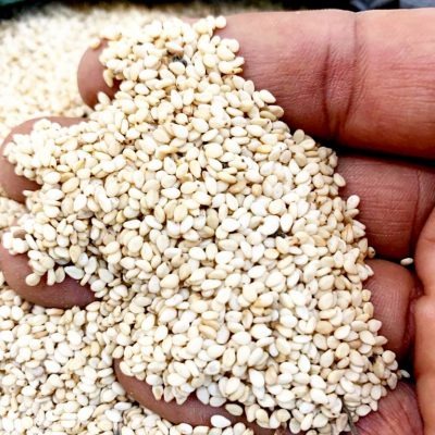 Sesame Seeds