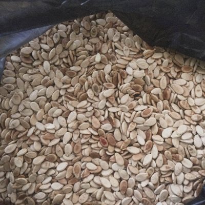 Watermelon Seeds