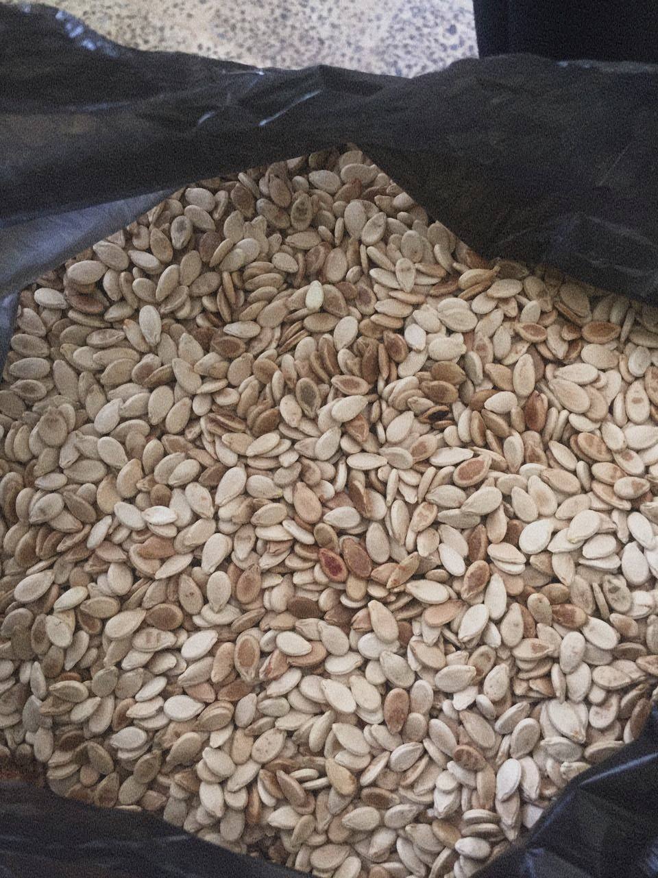 Watermelon Seeds