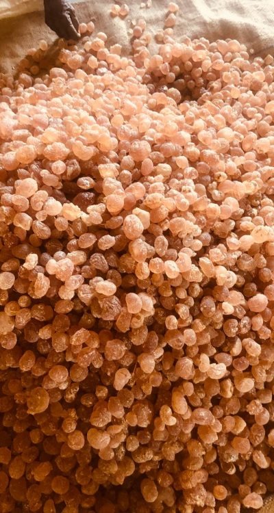 Gum Arabic