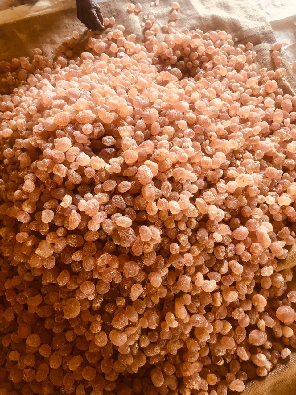 Gum Arabic