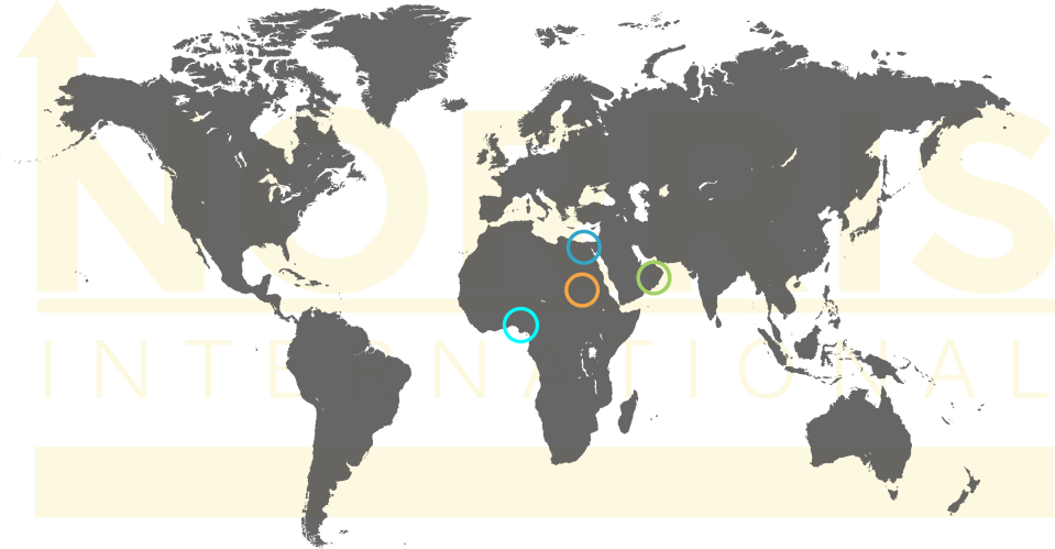 Norris international markets