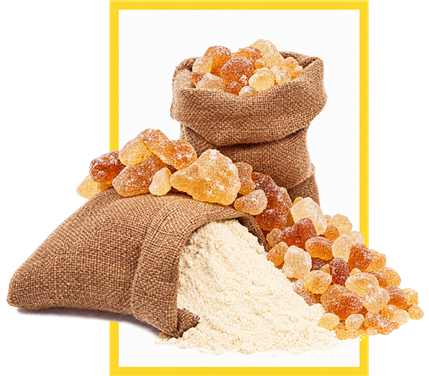 Gum Arabic beside Norris sacks, framed in yellow