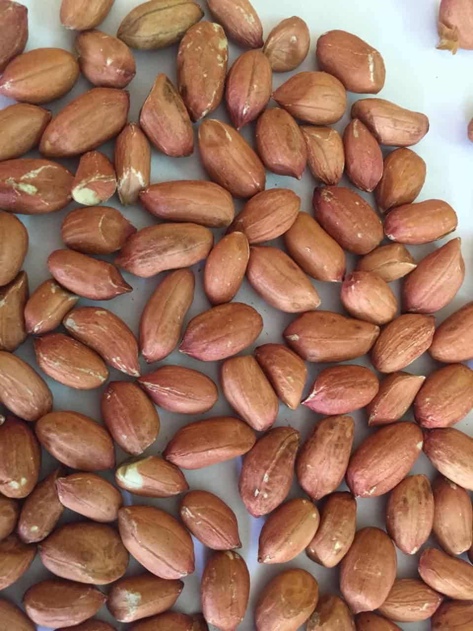 Peanut