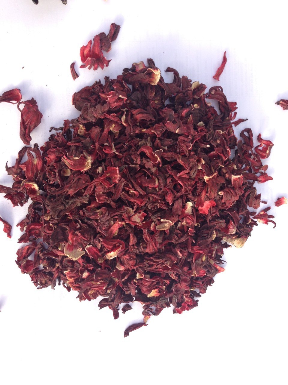 Hibiscus