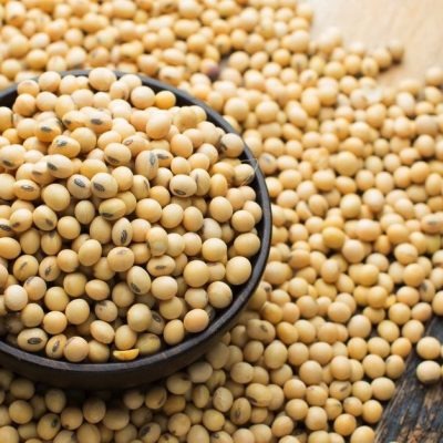 Soya Bean